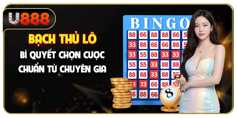 Bạch Thủ Lô - Bí Quyết Chọn Cược Chuẩn Từ Chuyên Gia