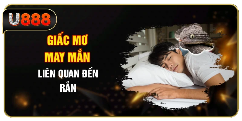 Giấc mơ may mắn liên quan đến rắn