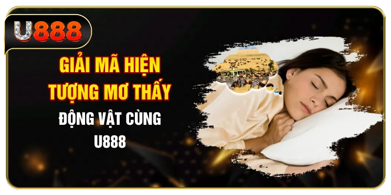 Giải mã hiện tượng mơ thấy động vật cùng U888