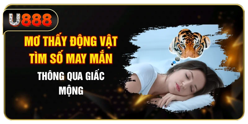 Mơ Thấy Động Vật - Tìm Số May Mắn Thông Qua Giấc Mộng
