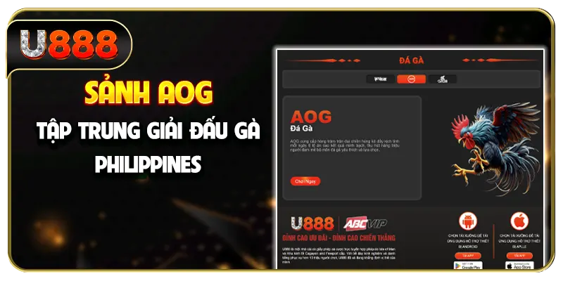 Sảnh AOG tập trung giải đấu gà Philippines