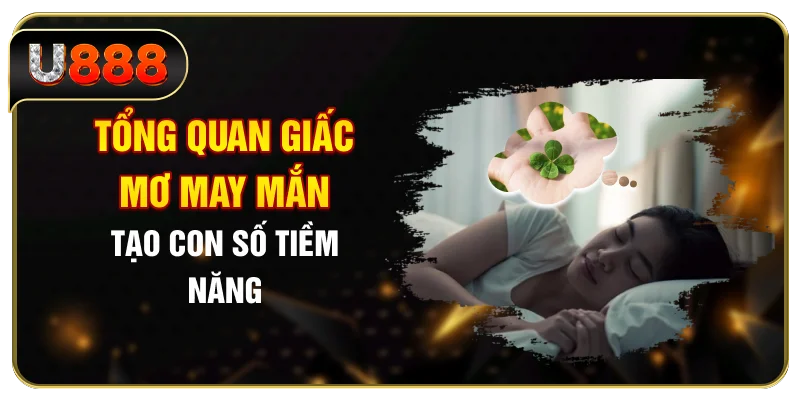Tổng quan giấc mơ may mắn tạo con số tiềm năng