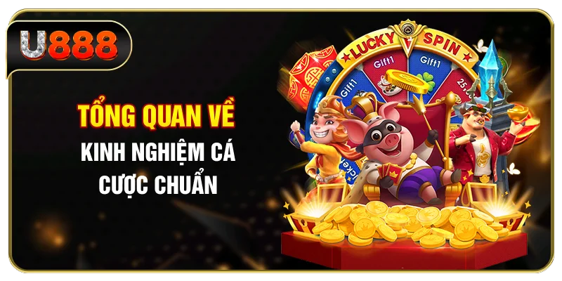 Tổng quan về kinh nghiệm cá cược chuẩn